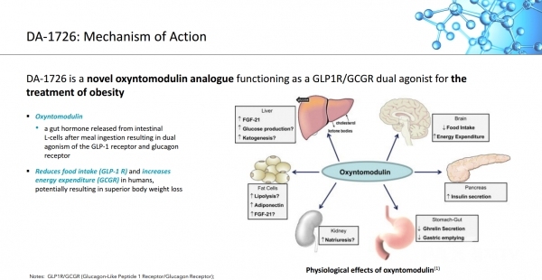 ▲동아에스티 비만치료제 'DA-1726' 기전 설명