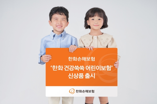 [사진=한화손해보험]