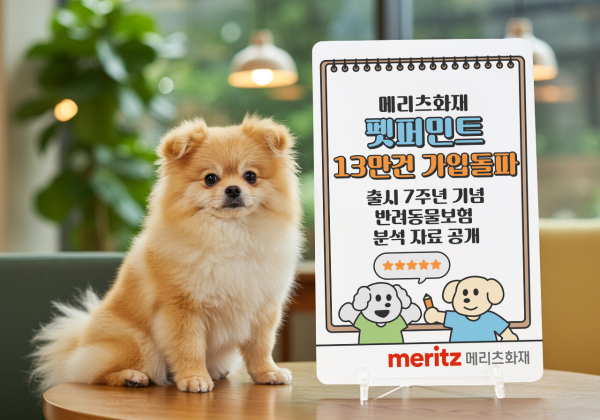 [사진=메리츠화재]