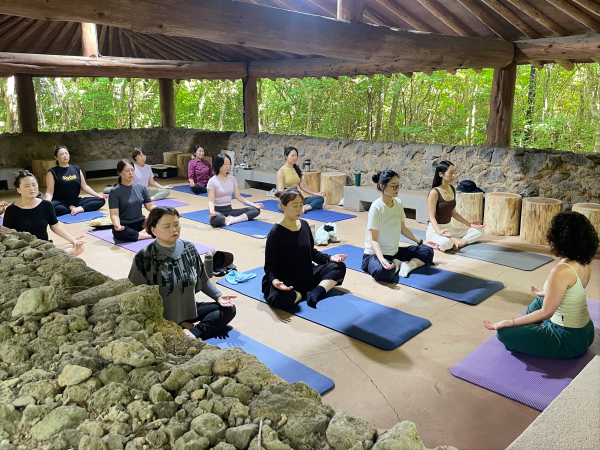 지난 5일 제주시 조천읍 교래자연휴양림 일대에서 처브그룹 라이나손해보험과 제주도곶자왈공유화재단이 함께 진행하는 ‘곶자왈 힐링 리트릿’ 프로그램에서 참가자들이 ‘곶자왈 요가·명상’을 즐기고 있다. [사진=라이나손해보험]
