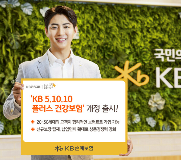 [사진=KB손해보험]