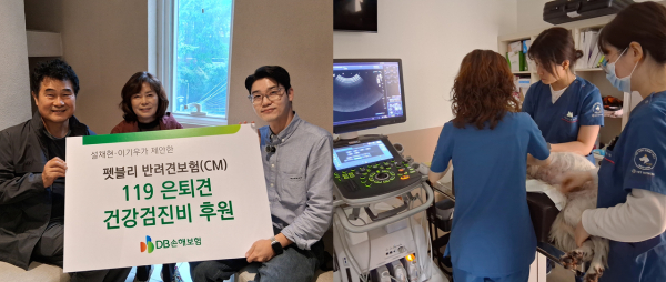 [사진=DB손해보험]